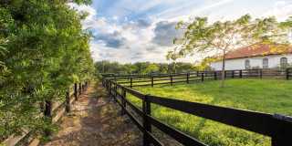 14367 Belmont Trace Gallery 15