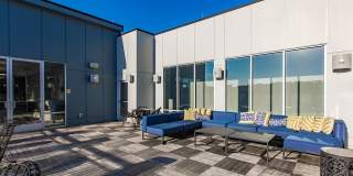 The Southerly Gallery 19