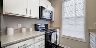 Linden Square Gallery 25