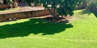 Charming Singe Family Home 3/1/2 with Spacious & Fenced Yard Gallery 24