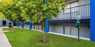 Portola at Papago Gallery 28