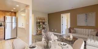 El Gato Penthouse Gallery 9