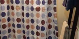 Westwood Apartments Gallery 227