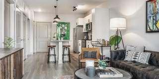 Lector 85 Gallery 12