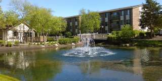 The Ponds on Plum Grove Gallery 1