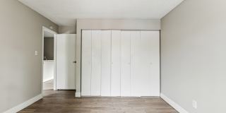 Park at Palmer Gallery 97