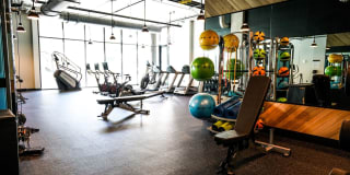 The Lola The Lola Gallery 28