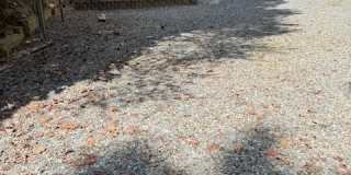 856 Ogden Drive Gallery 1