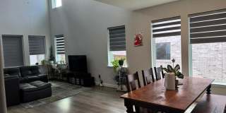 207 Midnight Trail Gallery 2