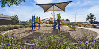 Solana Place at Carlton Commons Gallery 19