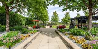 ReNew Oak Park Gallery 66