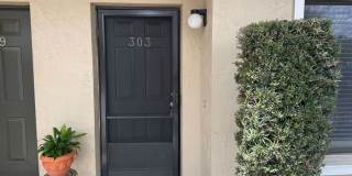 303 Sandlewood Trail Gallery 2