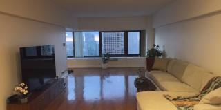 175 4522 $2 East Delaware Pl. Gallery 4