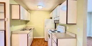 540alm Gallery 6