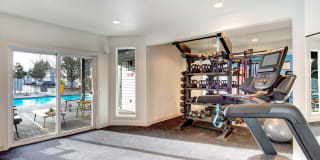 The Lynx Gallery 27