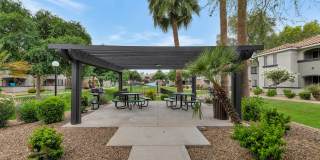 Montage at Pecos Ranch Gallery 31