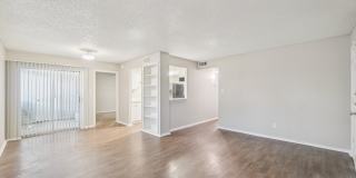 The Monet Gallery 30