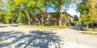 ONE11 COLLECTION - ROYAL OAK Gallery 97