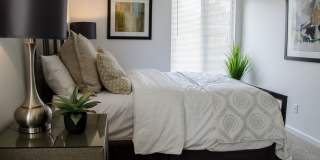 Pine Ridge Apartments Gallery 24