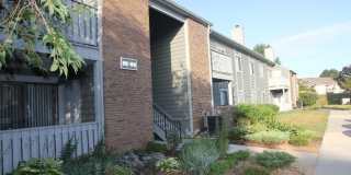9006 Tamarron Drive Gallery 1