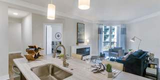 Aster Apartments Gallery 29