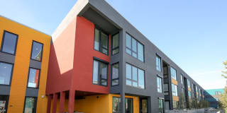 Hollis Oak Gallery 14