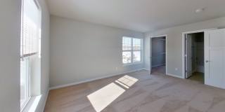 Condo Style Upper 3 Bedroom 2 Bathroom plus Den Apartment Gallery 24