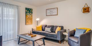 Sahara and Playa Palms Apartments Gallery 1