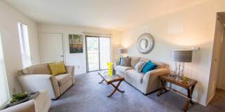 Forest Creek Gallery 8