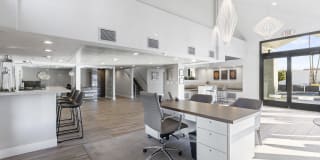 Fountain Palms Gallery 26