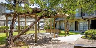Ashford Westchase Gallery 54