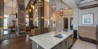 Red Knot at Edinburgh Gallery 6