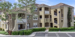 Laurel Terrace Apartment Homes Gallery 16
