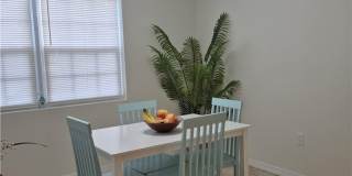 254 Palermo Circle Gallery 10