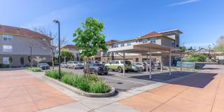 The Village at Town Center Gallery 31