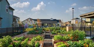 YardHomes Cottonwood Creek Gallery 28