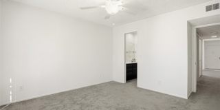 833 Cinnamon Gallery 22