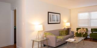 Livingston Gardens Gallery 40