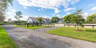 2889 Appaloosa Trail Gallery 30