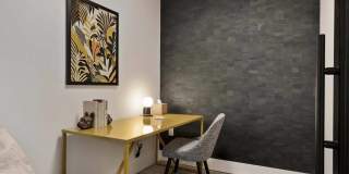 Edera Gallery 24