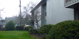 Rent Special: 1/2 Off June's Rent!! - Downstairs 2 Bedroom Unit Gallery 3