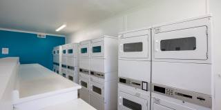 Whispering Sands Gallery 26