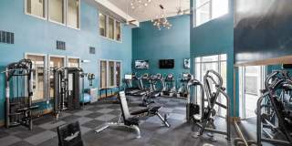 City Gate Gallery 17