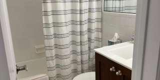 1202 Palm Trail Gallery 21