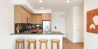 The Edmund Gallery 3