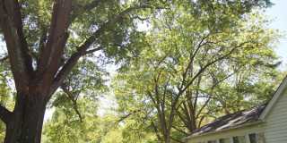 Exclusively Offered By Muse Realty Rentals, LLC Gallery 64