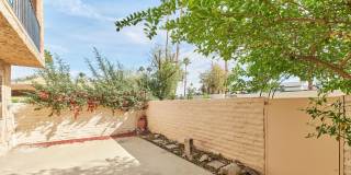 2420 Los Coyotes Drive Gallery 31