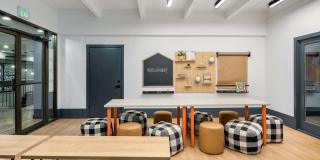 Elm at Panorama Gallery 27