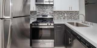 Club Marina Gallery 1