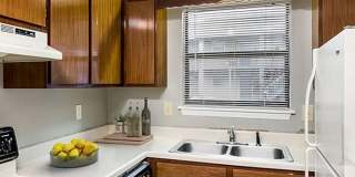 The Cove Apartment Homes Gallery 23